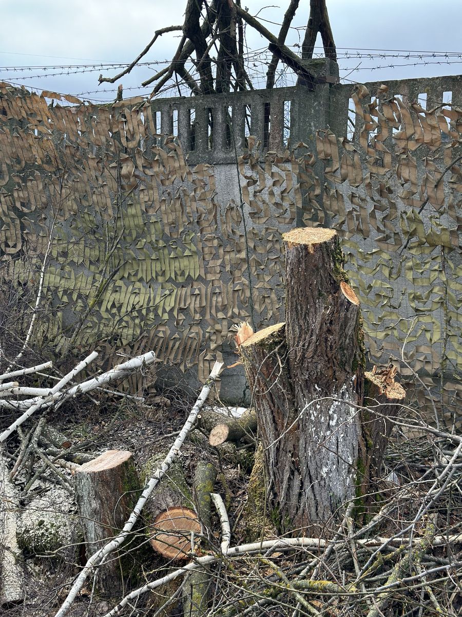 Благоустройство и удаление деревьев в Московской области