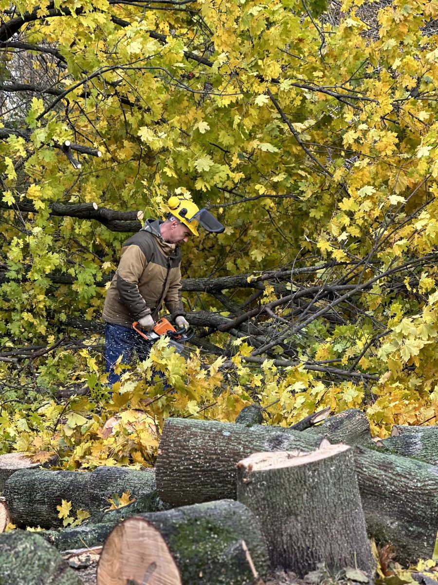 Вырубка деревьев Егорьевске