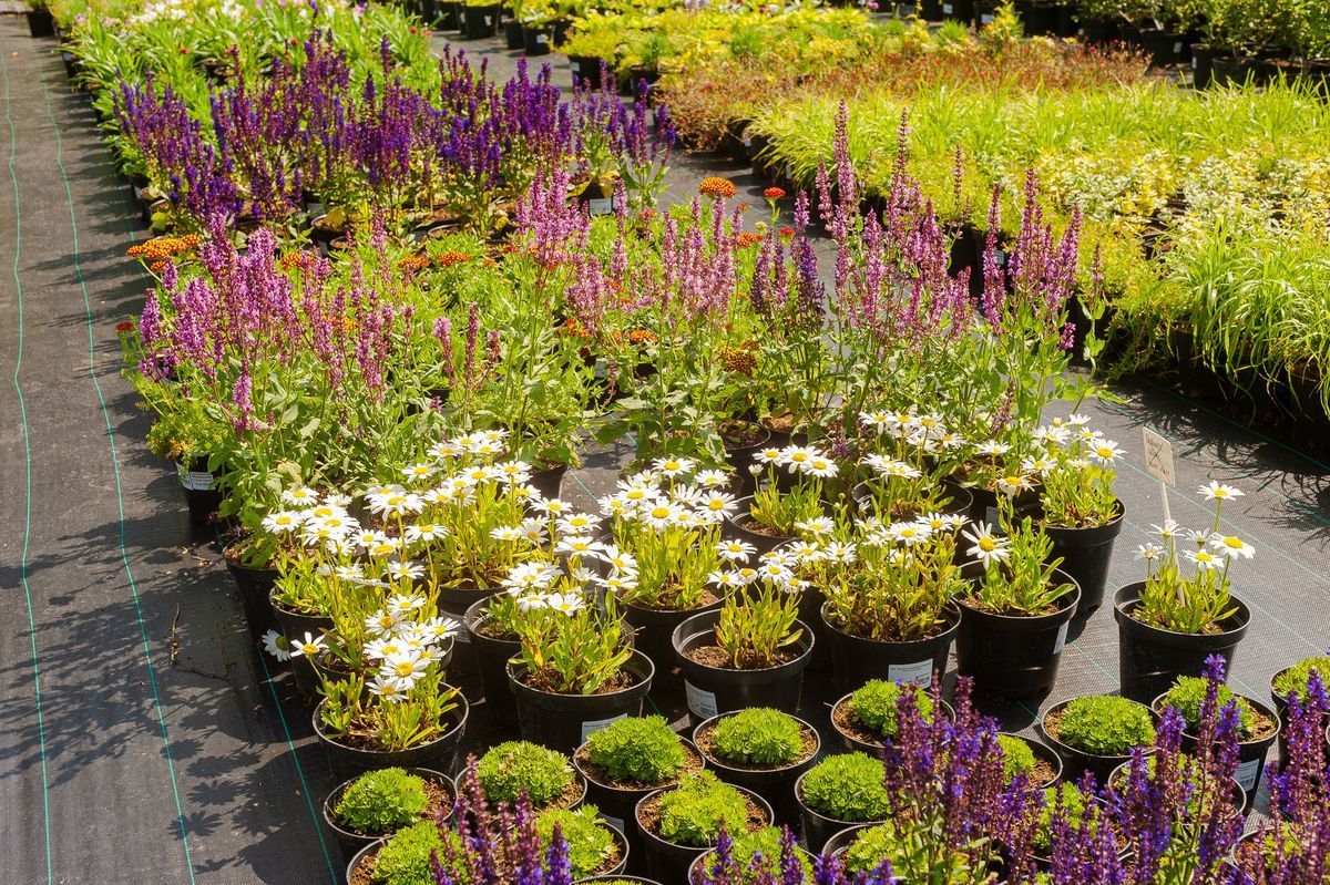 Интересное решение для оформления терракотовых контейнеров