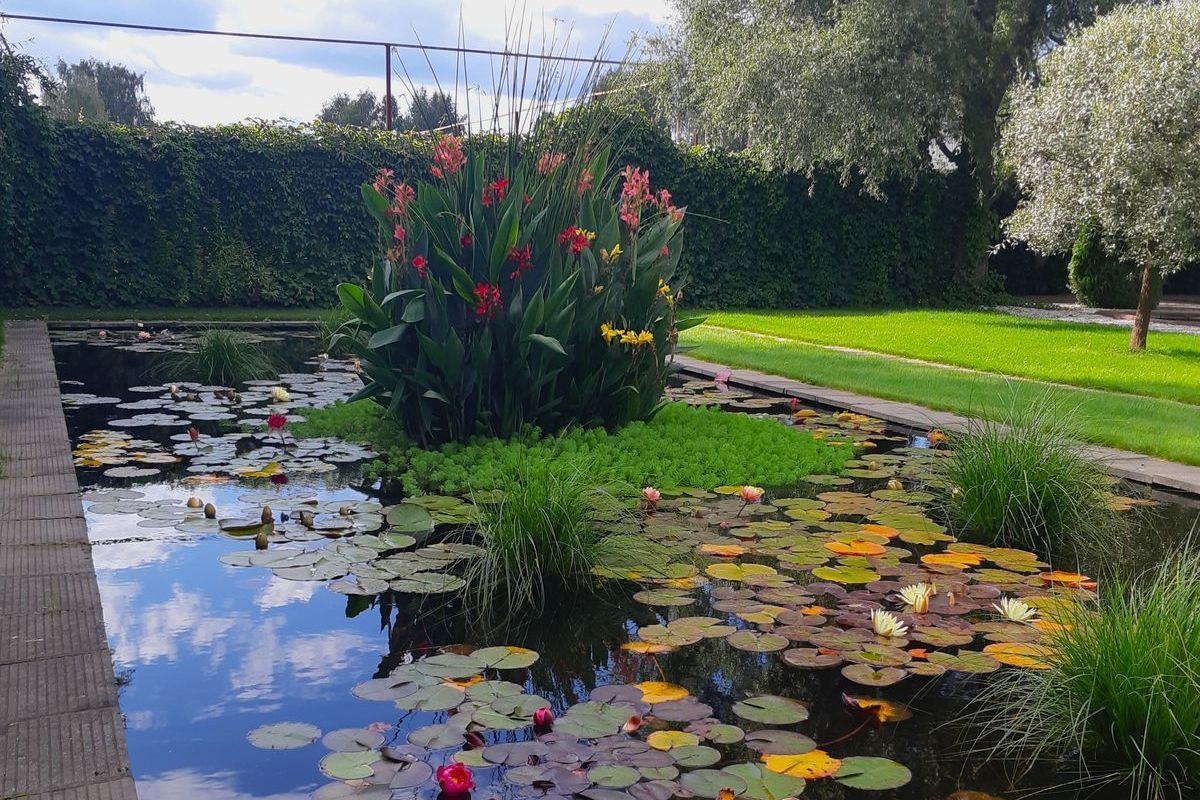 Декорирование искусственных водоёмов: интересные решения от НОБИЛИ