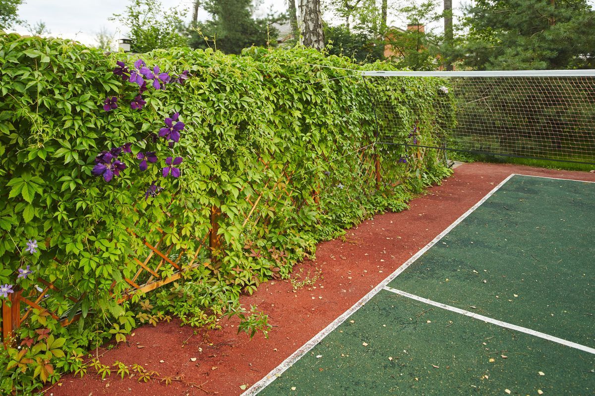 Преображаем интерьер вертикальным озеленением