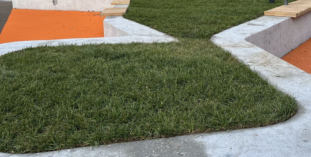 Идеальный газон своими руками