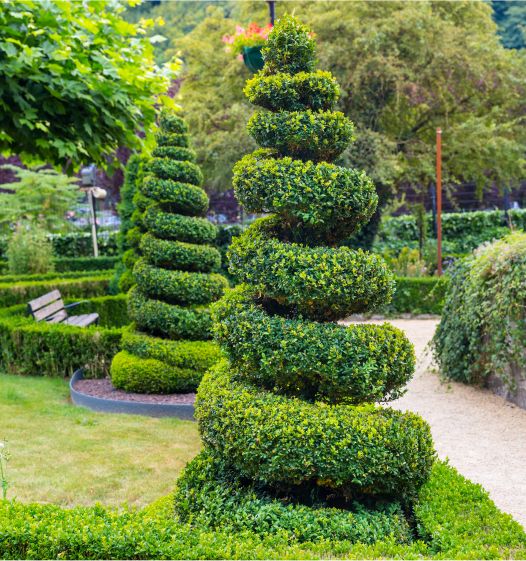 Ландшафтный дизайн и благоустройство