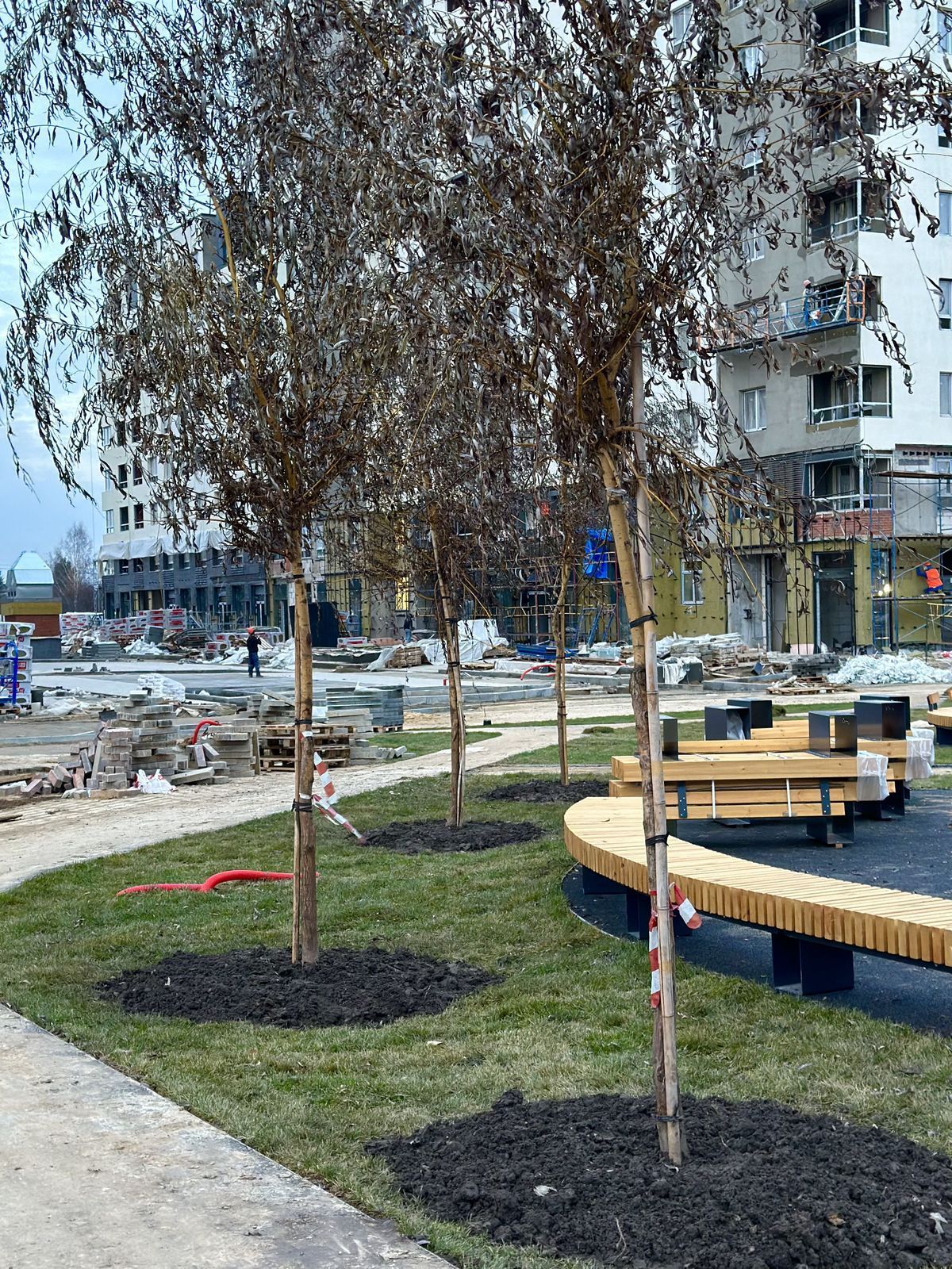 О деревьях на вашем участке