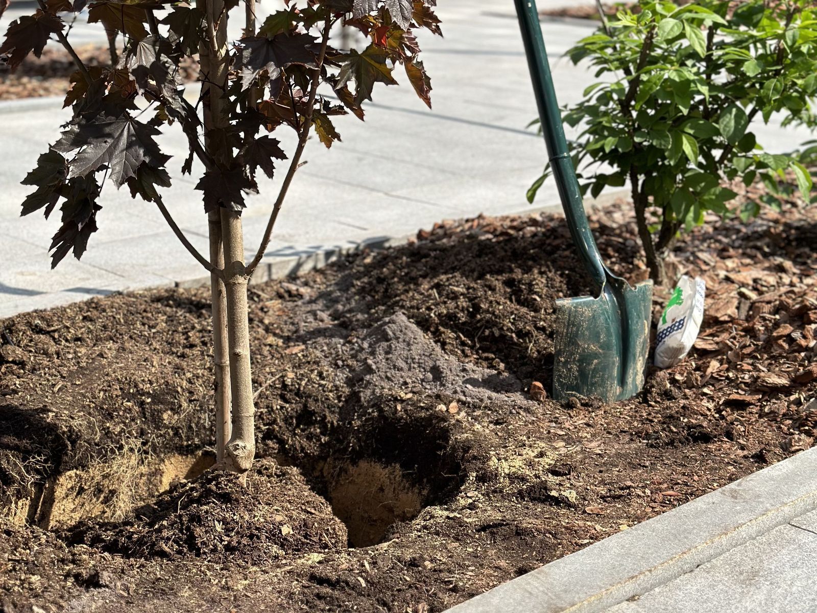 Всё, что нужно для обустройства ландшафта