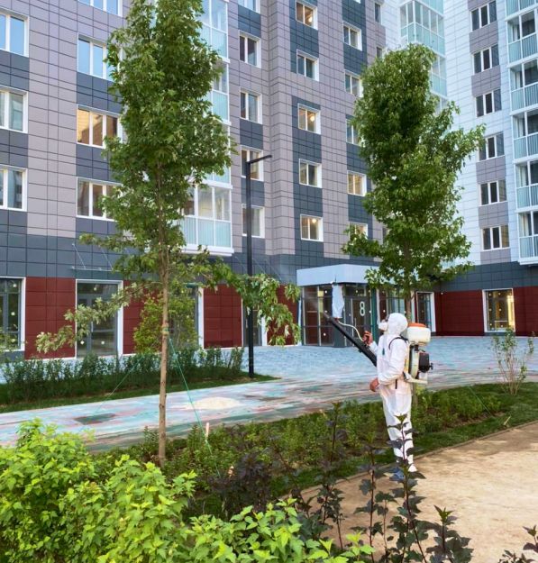 Лечение деревьев