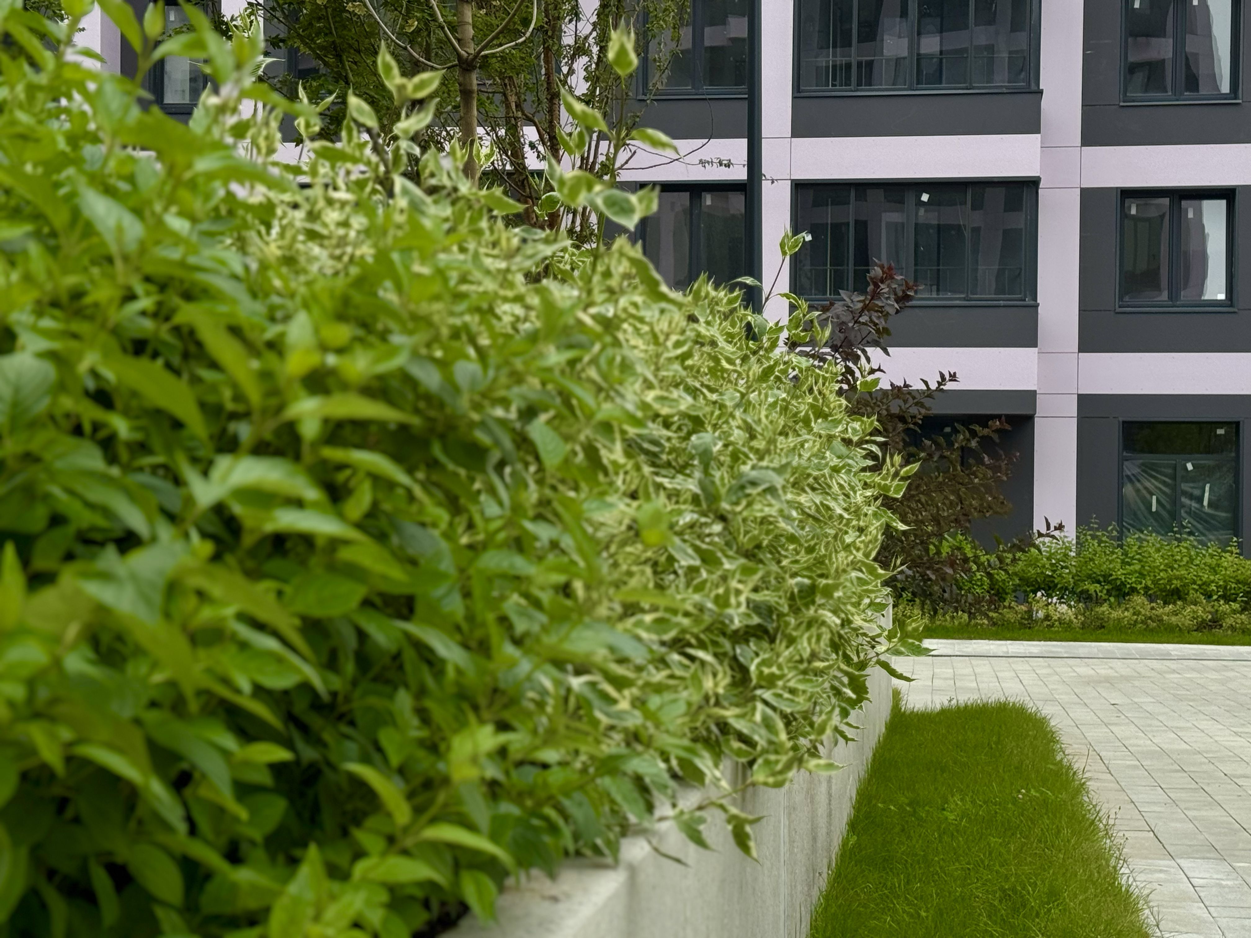 ЖК «Новые Ватутинки»