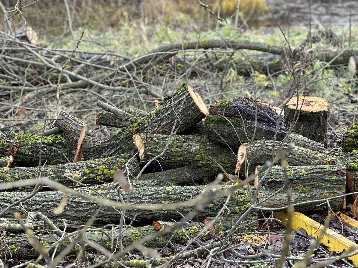 Как легко и быстро избавиться от мусора на участке?