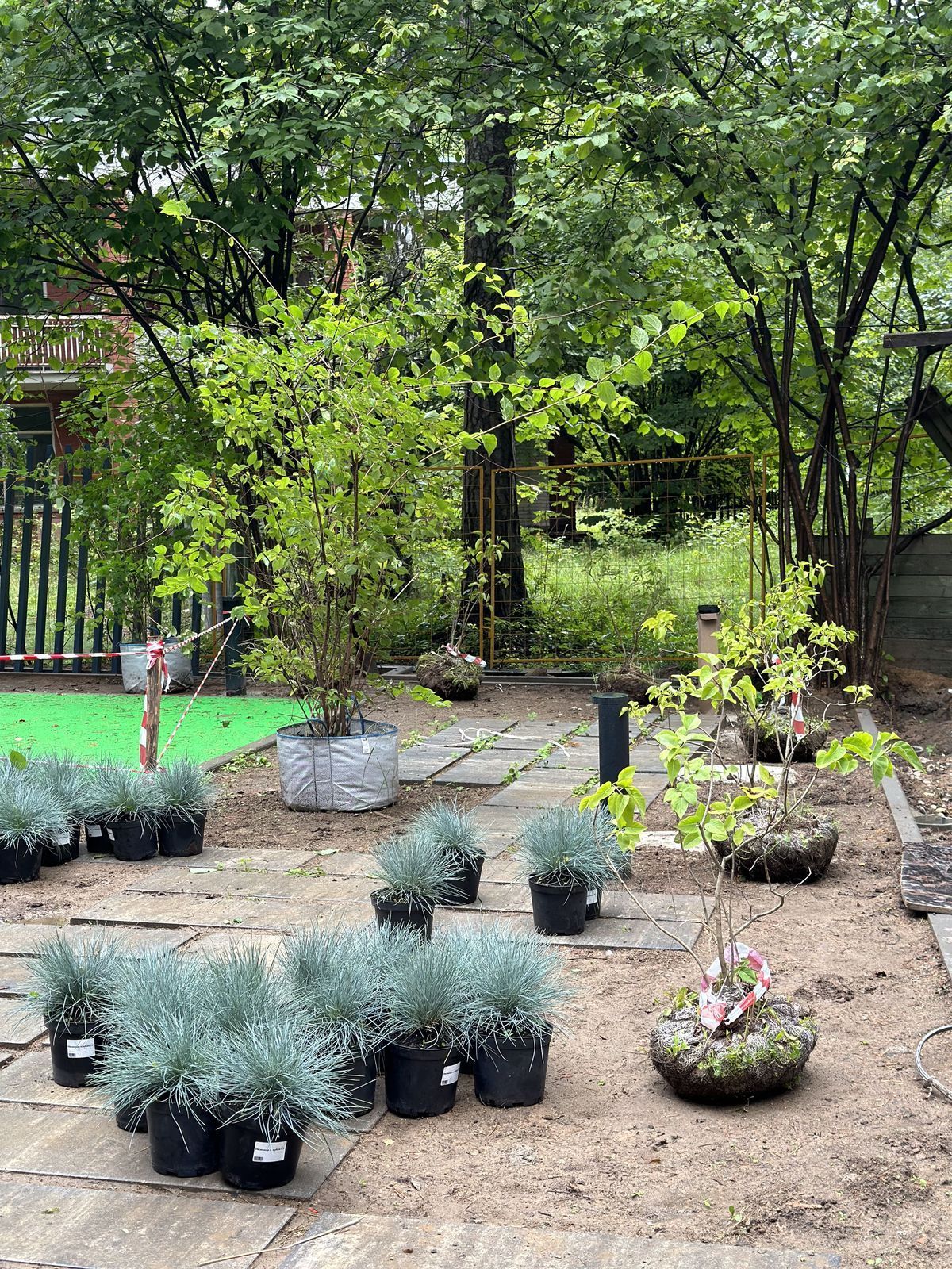 Посадка деревьев и кустарников в собственном саду: какие выбрать и как посадить?