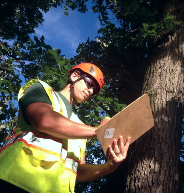 Инвентаризация участка балансодержателя