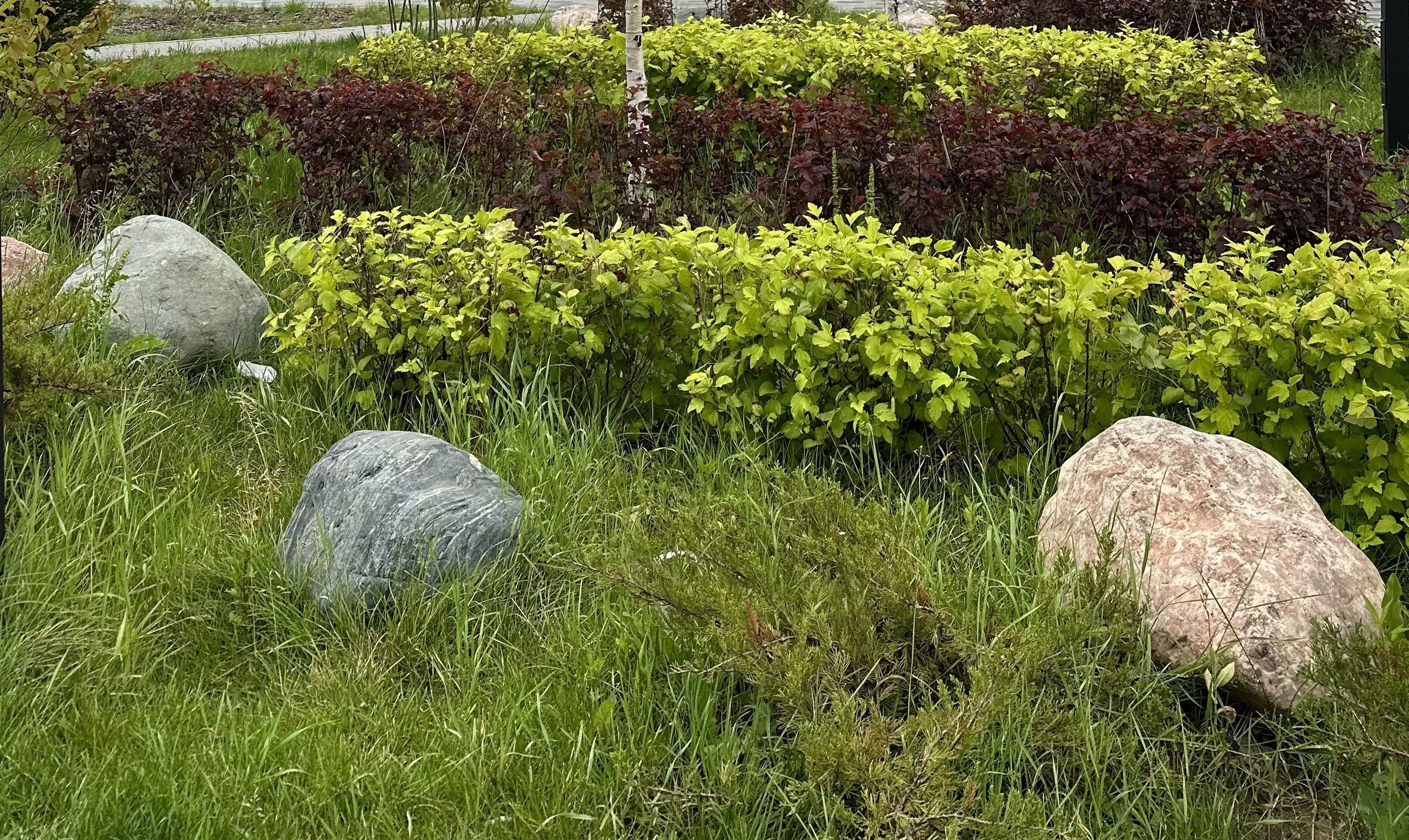 Сад камней: как сделать рокарий своими руками