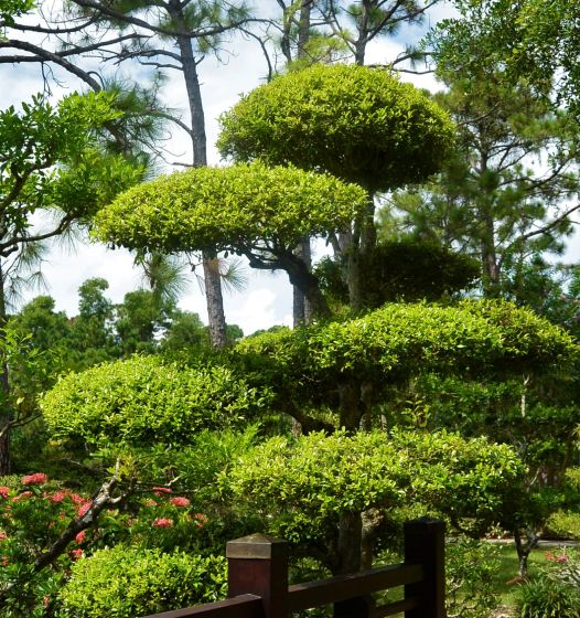 Ландшафтный дизайн и благоустройство