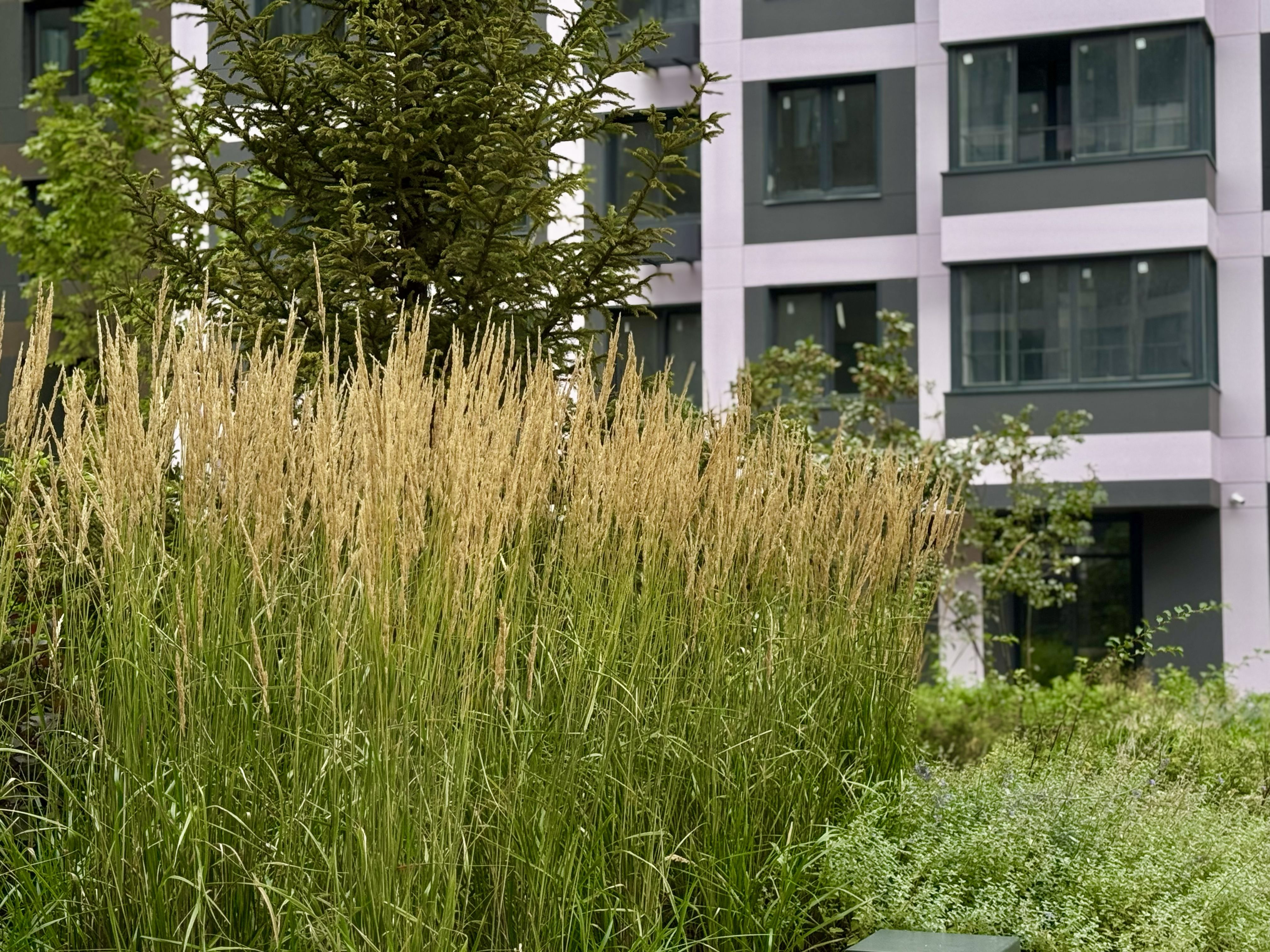 ЖК «Новые Ватутинки»