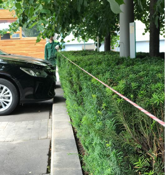 Удаление, обрезка и лечение деревьев