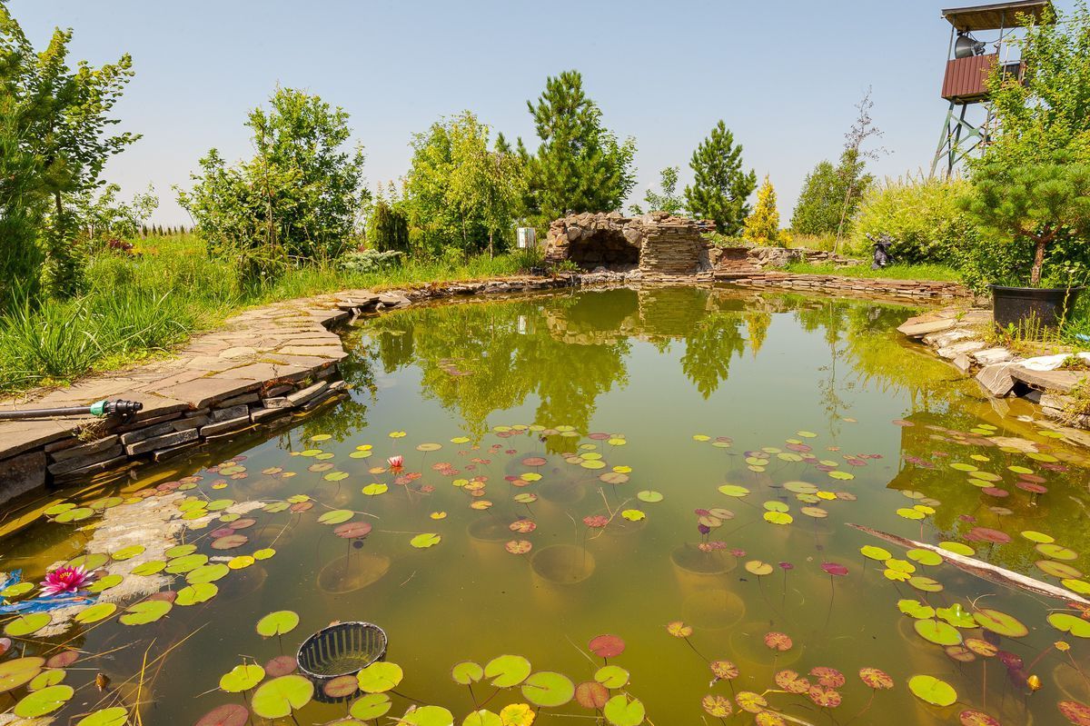 Как ухаживать за искусственным водоёмом на участке?