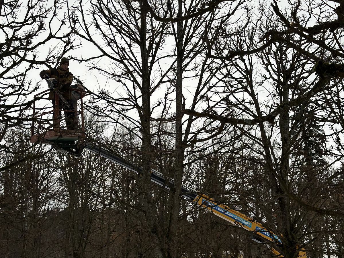 Как правильно ухаживать за объектами ландшафтного дизайна зимой?