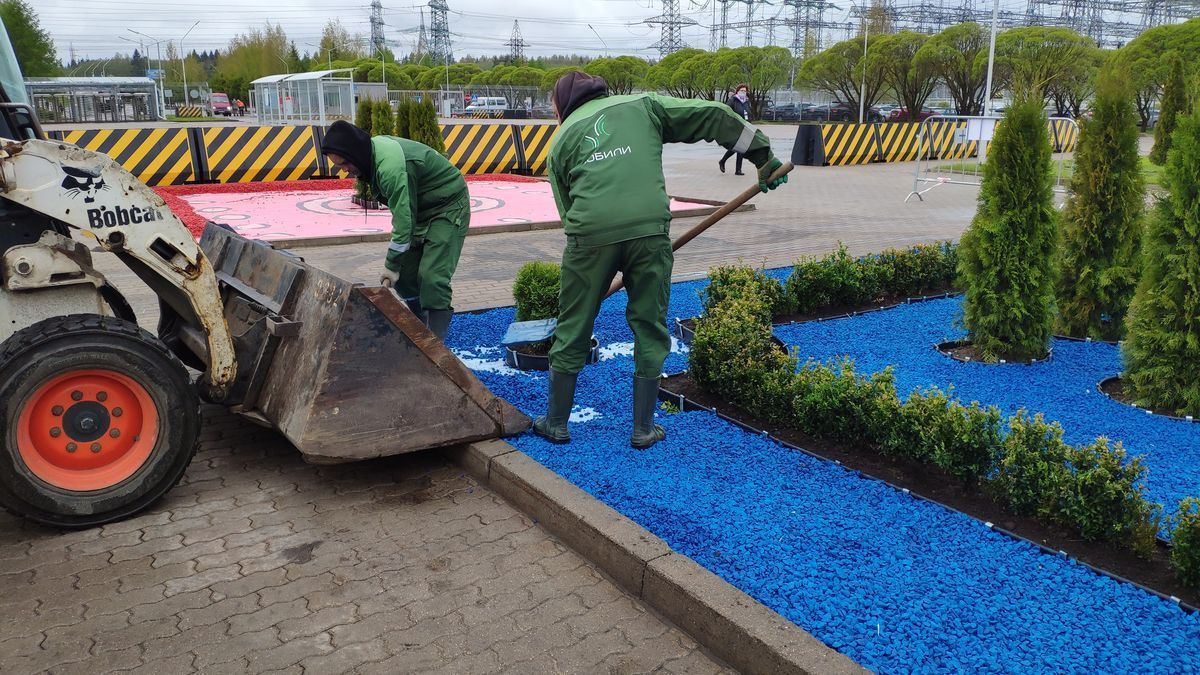 Как создать красивый бордюр для клумбы?