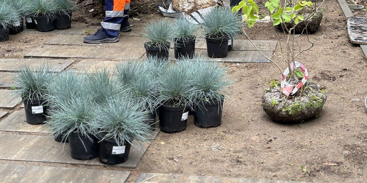 Благоустройство школьной территории