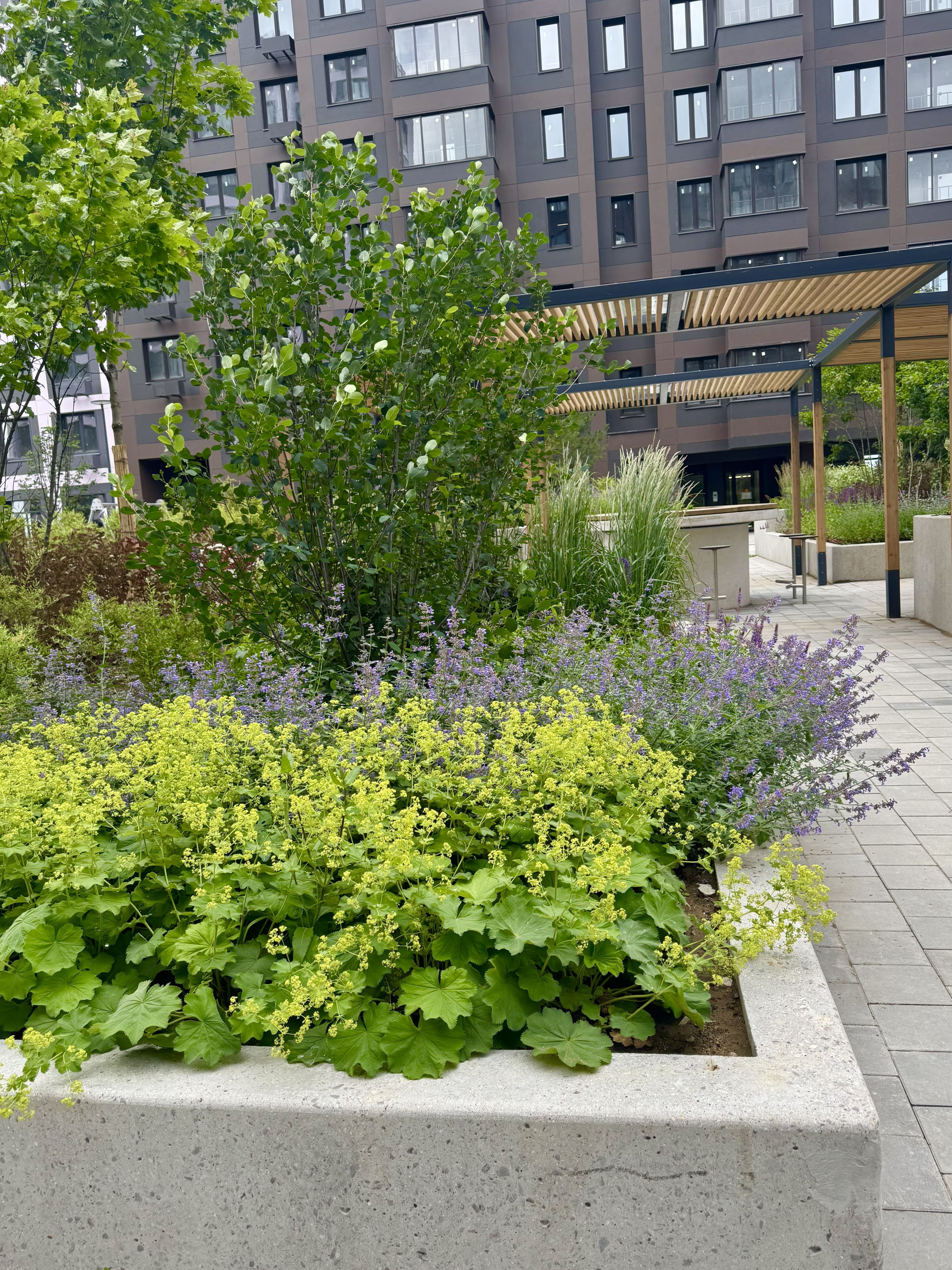 ЖК «Новые Ватутинки»