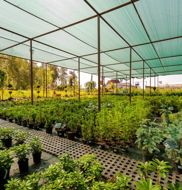 Клиентский сервис