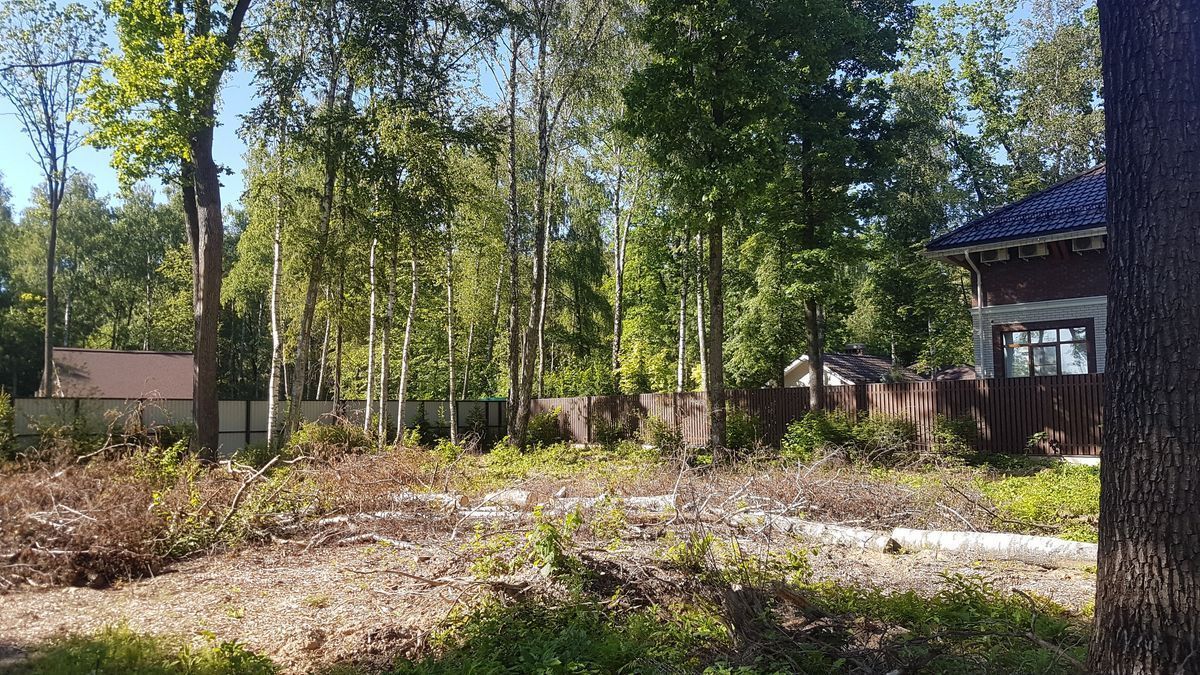 «Зелёная» разработка от немецких специалистов