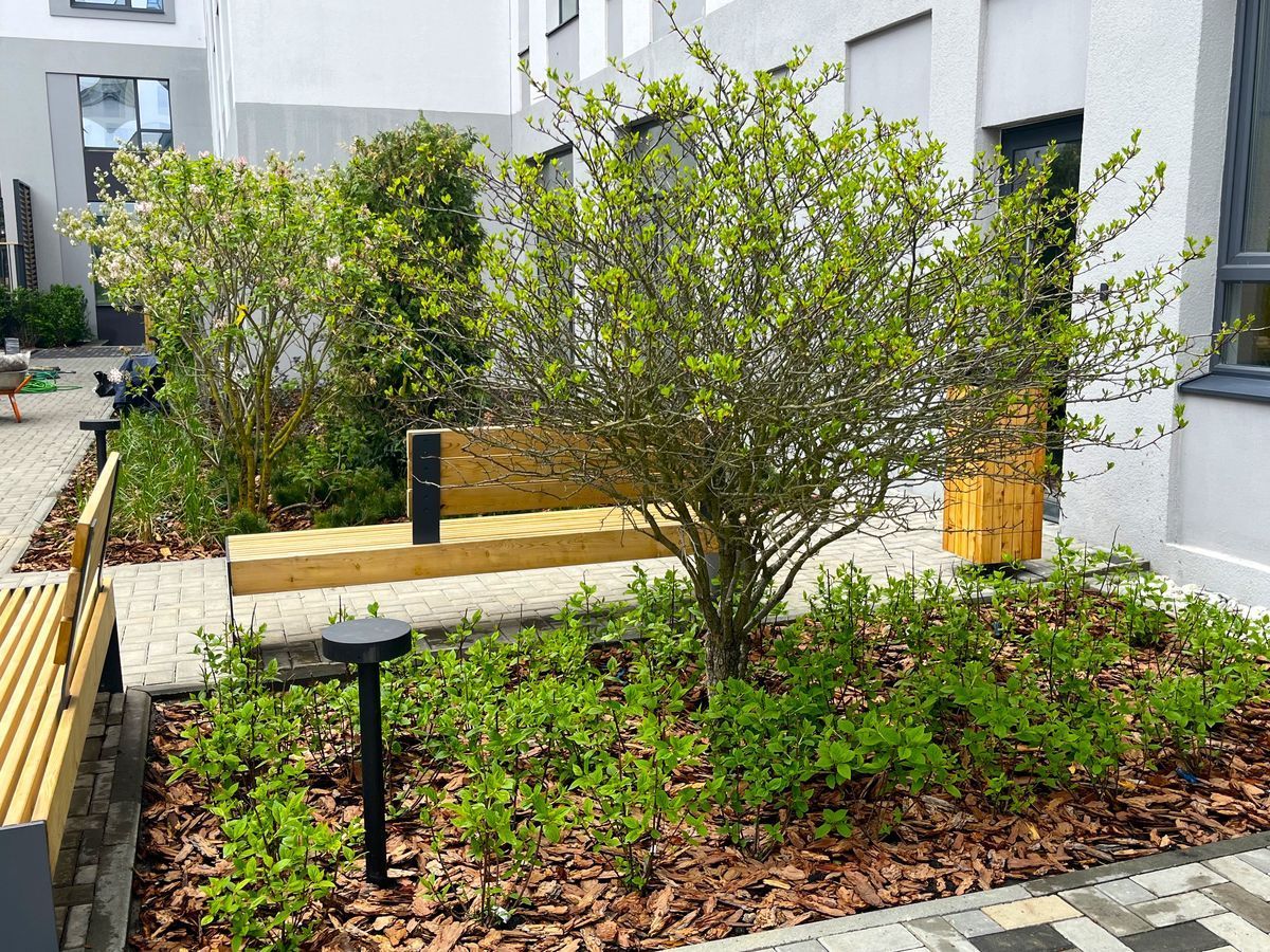 Как правильно посадить растения под деревьями?