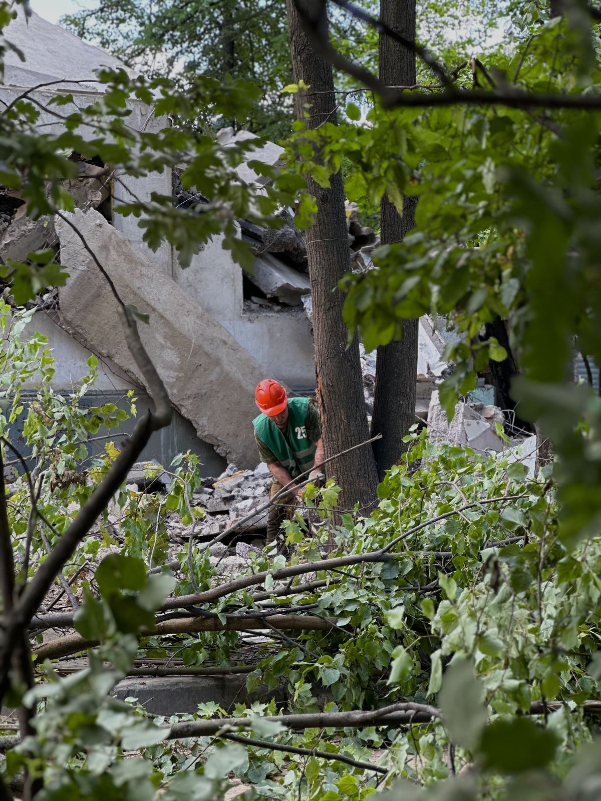 Валка деревьев с наклоном по направлению в стороны