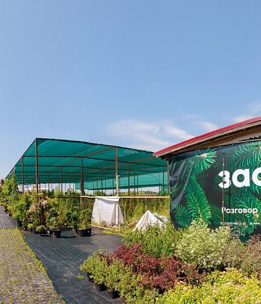 Производство и поставка посадочного материала