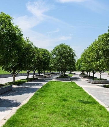 Ландшафтный дизайн и благоустройство