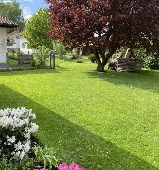 Ландшафтный дизайн и благоустройство