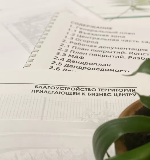 Ландшафтное проектирование