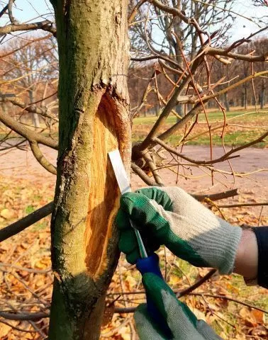 Музей-усадьба «Архангельское»