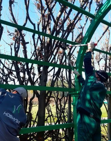 Музей-усадьба «Архангельское»