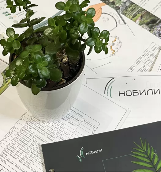 Ландшафтное проектирование