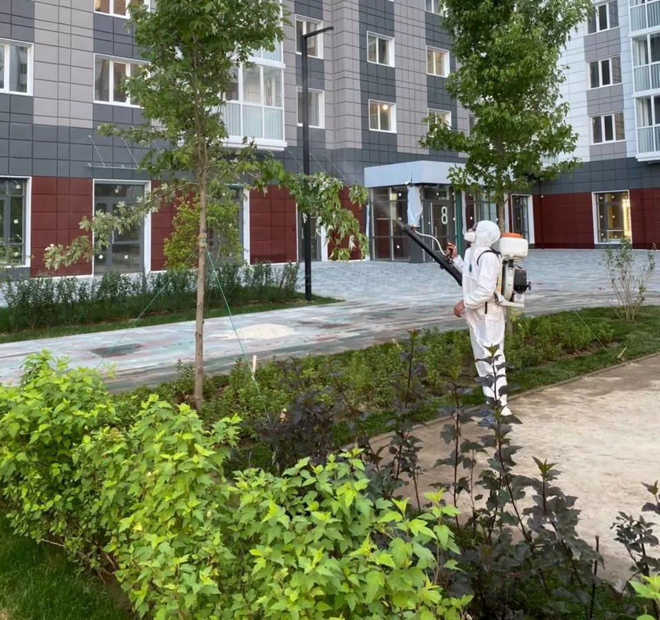 Как обезвредить садовых вредителей?