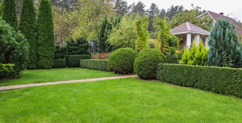 Благоустройство и озеленение частной территории