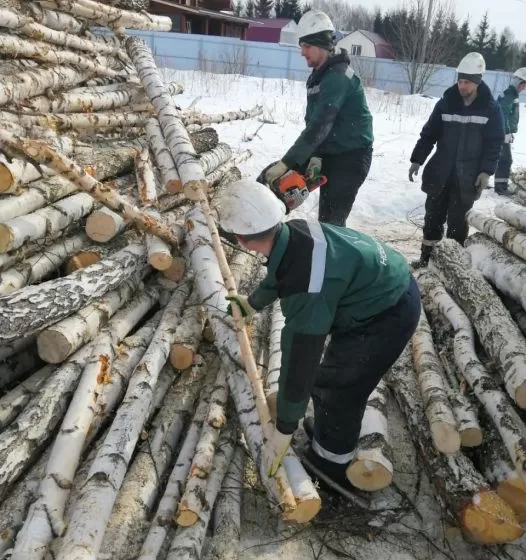 Удаление, обрезка и лечение деревьев