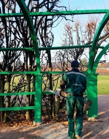 Музей-усадьба «Архангельское»