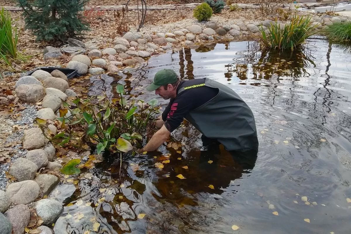 Декорирование искусственных водоёмов