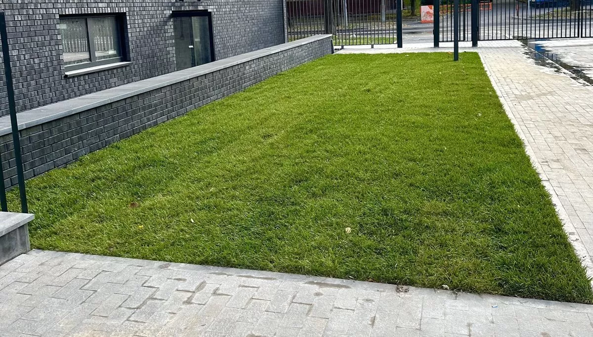 Всё об искусственном газоне