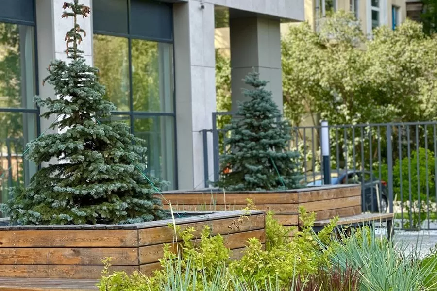 Удаление деревьев в Москве и МО, цены на удаление старых, сухих и ...