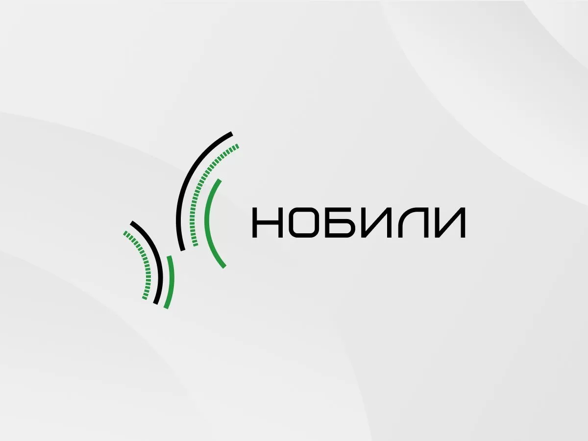 Можно ли сохранить живую новогоднюю елку?